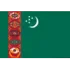 Turkmenistan Football Team Results