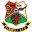 Llanelli Town Football Team Results