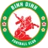 Binh Dinh Football Team Results