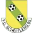 FC Schifflange 95 Football Team Results