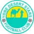 Yobe Desert Stars Football Team Results
