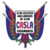 CA San Lorenzo de Alem Football Team Results