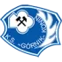 Gornik Konin Football Team Results