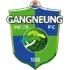 Gangneung City Football Team Results