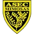 ASEC Mimosas Football Team Results