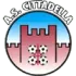 Cittadella U19 Football Team Results