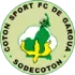 Cotonsport Football Team Results