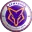 Torpedo Armavir Football Team Results