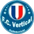 Vertikal Football Team Results