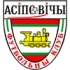 FC Osipovichi Football Team Results