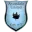 Avondale United Football Team Results