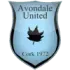 Avondale United Football Team Results