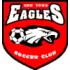 New Town Eagles Football Team Results