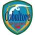 Cobaltore Onagawa Football Team Results