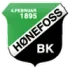 Honefoss (W) Football Team Results