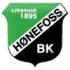 Honefoss Women Football Team Results