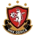 HNK Gorica Football Team Results