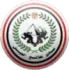 Talaea El Geish Football Team Results