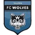 FC Tallinna Wolves Football Team Results