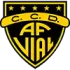 CD Arturo Fernández Vial Football Team Results