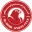 Al-Arabi Doha Football Team Results