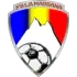 FS La Massana Football Team Results