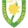 Llanidloes Town Football Team Results