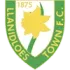 Llanidloes Town Football Team Results
