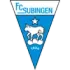 Subingen Football Team Results