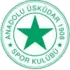 Beykoz Ishaklispor Football Team Results