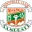 Samgurali Football Team Results