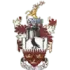 Brentwood Town Football Team Results
