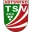 TSV Abtswind Football Team Results