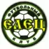 FC Yelets Football Team Results