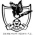 Dereham Town Football Team Results