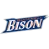 Bucknell Bison Football Team Results