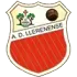 AD Llerenense Football Team Results