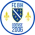 FC BiH Odense Football Team Results