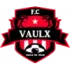 Vaulx en Velin Football Team Results