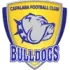 Capalaba FC Football Team Results