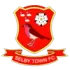 Selby Town Football Team Results