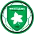 Whyteleafe Football Team Results