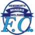 Hemsworth Miners Welfare Football Team Results