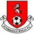 Tunbridge Wells Football Team Results