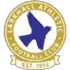 Larkhall Athletic Football Team Results