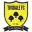 Tividale Football Team Results