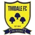 Tividale Football Team Results