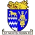 St Neots Town Football Team Results