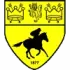 Newmarket Town Football Team Results