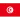 Tunisia U20
